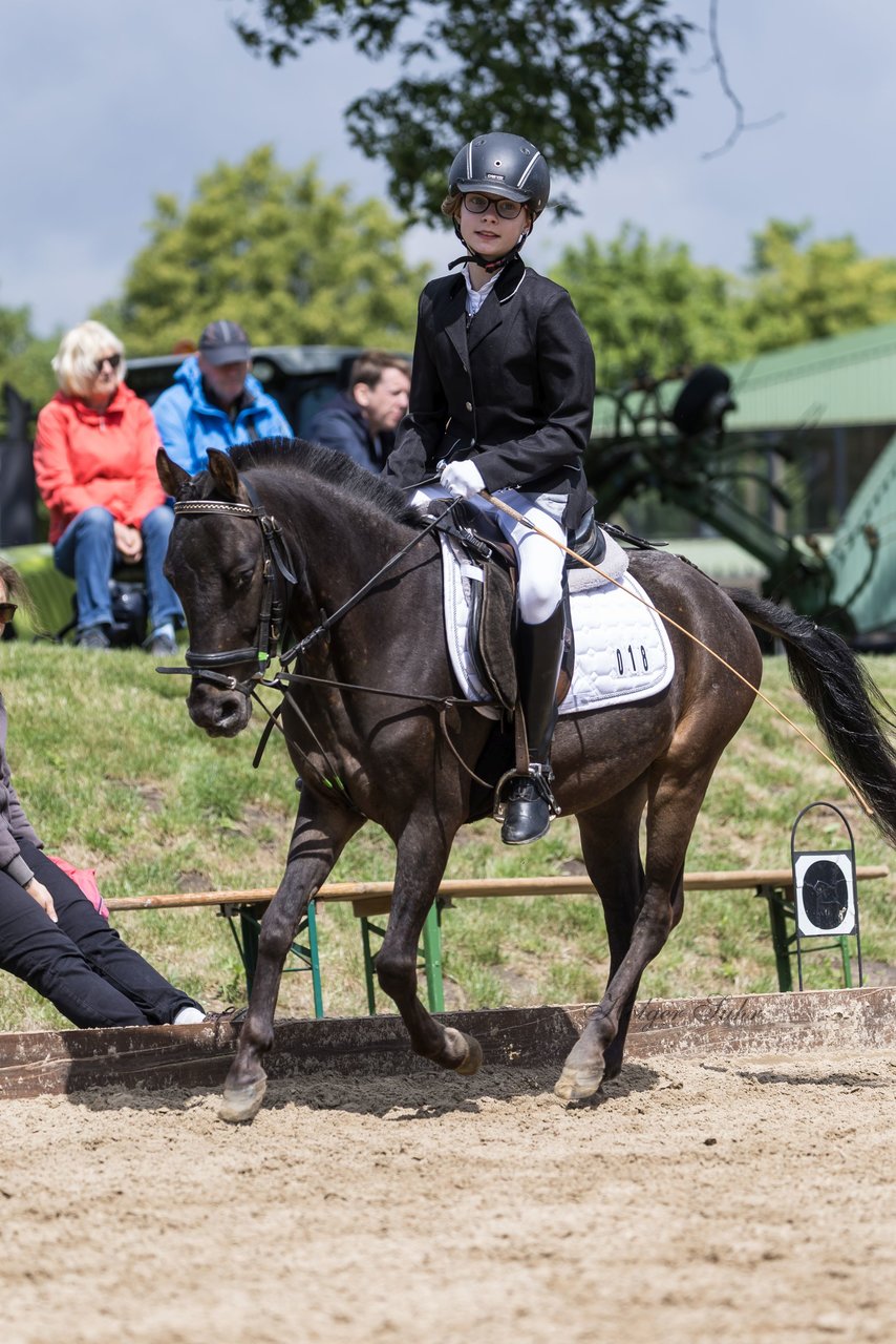 Bild 381 - Pony Akademie Turnier